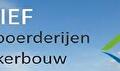 Nieuwsbrieven SPNA